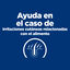 6 kg Hill's Prescription Diet z/d Food Sensitives pienso para gatos, , large indicador imagen numero 5